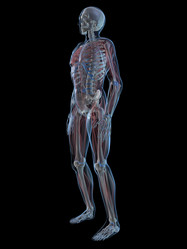 Similar image 8188772