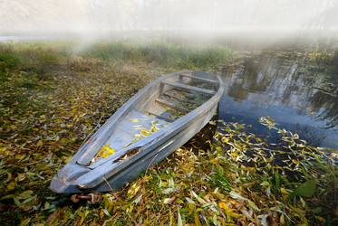 Similar image 8188784