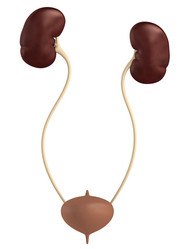 Similar image 8188800