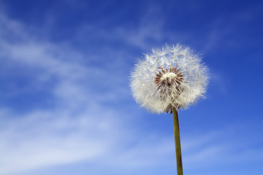 Similar image 8188832