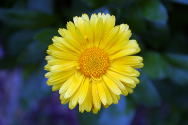 Similar image 8188847