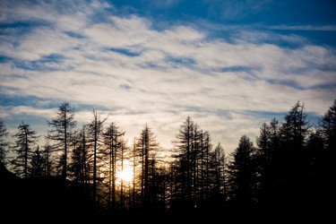 Similar image 8188909