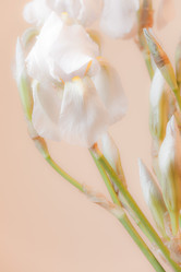 Similar image 8188933