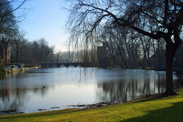 Similar image 8188935