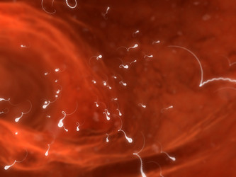 Similar image 8188963