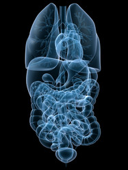 Similar image 8188984