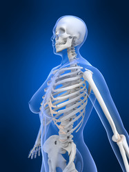 Similar image 8188986