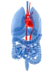 Similar image 8188991