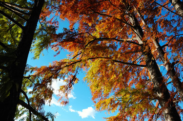 Similar image 8189018