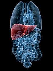 Similar image 8189038