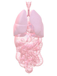 Similar image 8189042