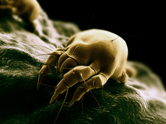 Similar image 8189130