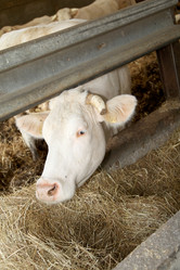 Similar image 8189131