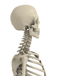 Similar image 8189136