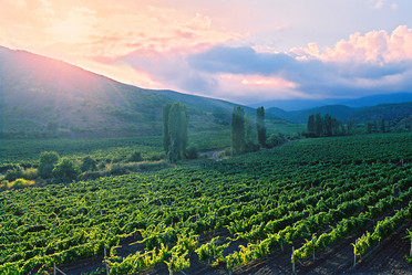 Similar image 8189143