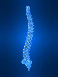 Similar image 8189160