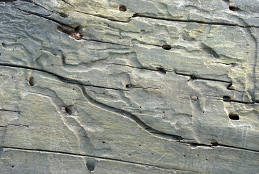 Similar image 8189190