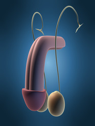 Similar image 8189192