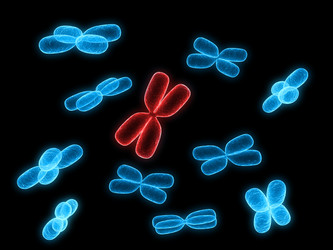 Similar image 8189220