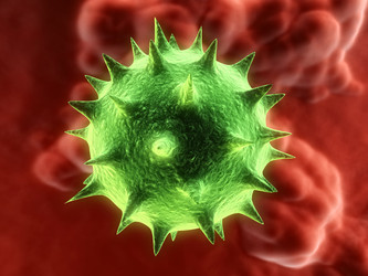 Similar image 8189239