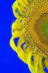 Similar image 8189245