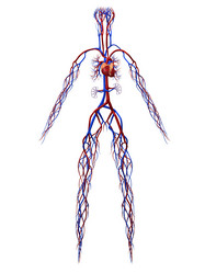 Similar image 8189247