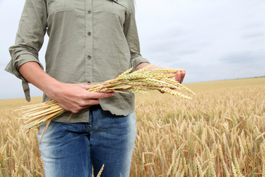 Similar image 8189253