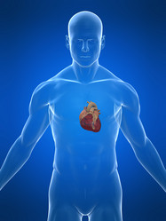 Similar image 8189302