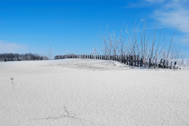 Similar image 8189309