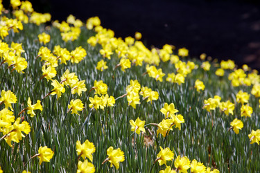 Similar image 8189337