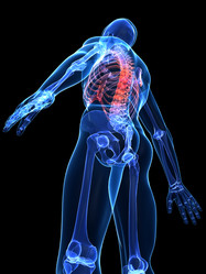 Similar image 8189385