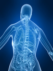 Similar image 8189389