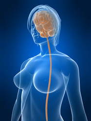 Similar image 8189399