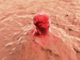 Similar image 8189412