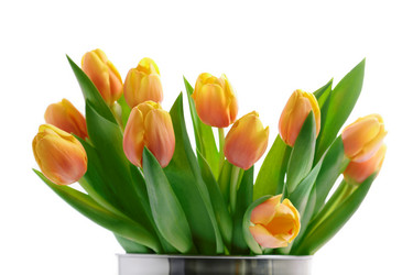 Similar image 8189414