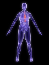 Similar image 8189432