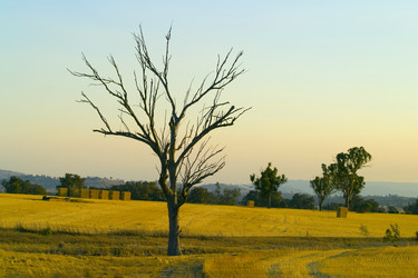 Similar image 8189447