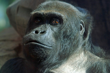 Similar image 8189465