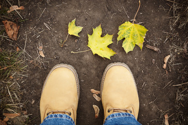 Similar image 8189502