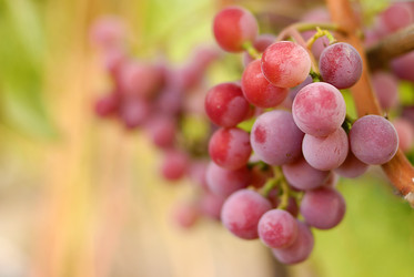 Similar image 8189537