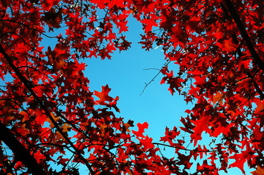 Similar image 8189587