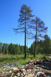 Similar image 8189595