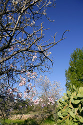 Similar image 8189610