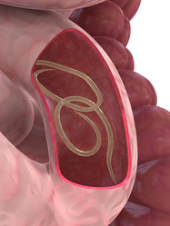 Similar image 8189628