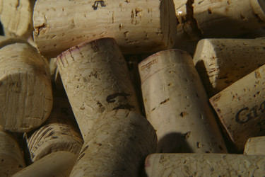 Similar image 8189706