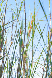 Similar image 8189710