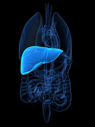 Similar image 8189768