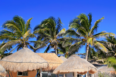 Similar image 8189790