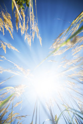 Similar image 8189826