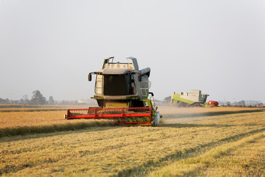 Similar image 8189838